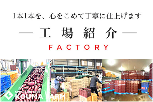 工場紹介 KOUMA FARM