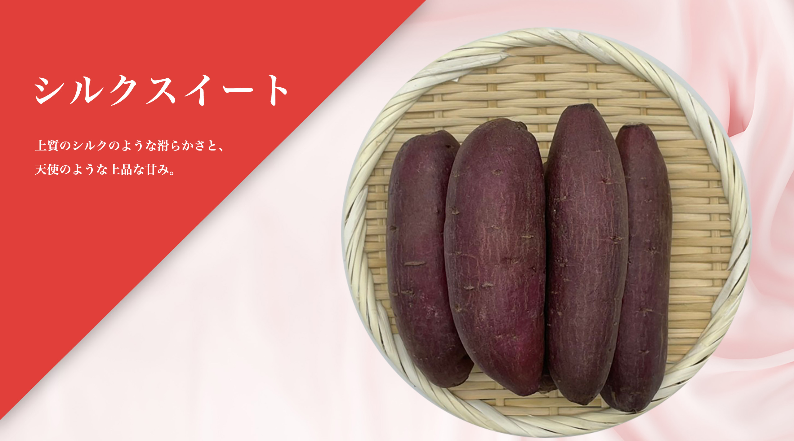 シルクスイート